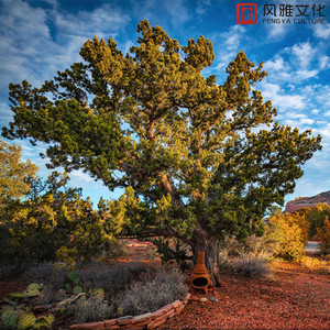 你真紧今晚我让你爽个够视频
